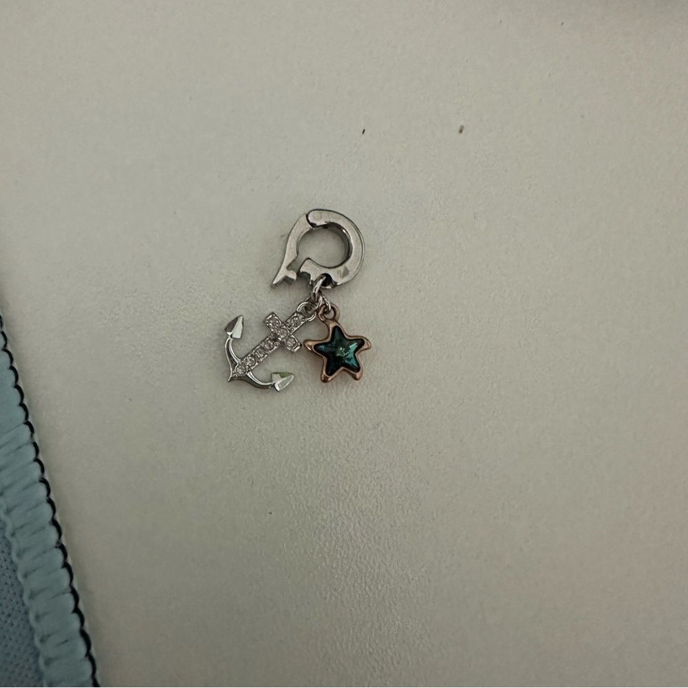 Swarovski charm